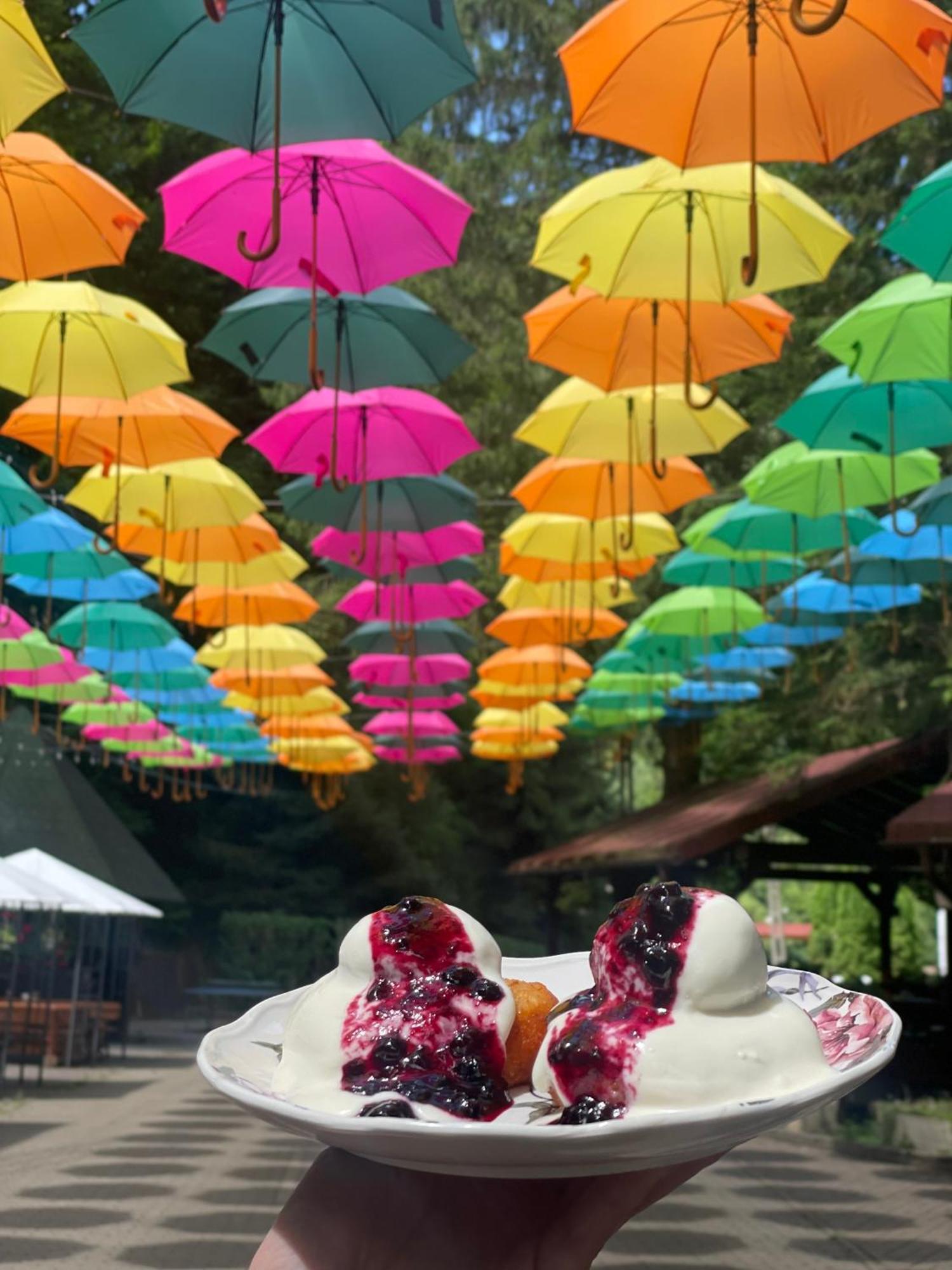 Hotel Valea Lui Liman Tomesti  Exteriér fotografie