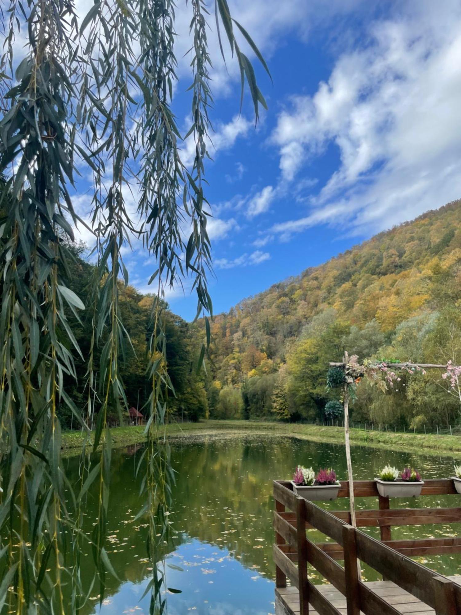 Hotel Valea Lui Liman Tomesti  Exteriér fotografie
